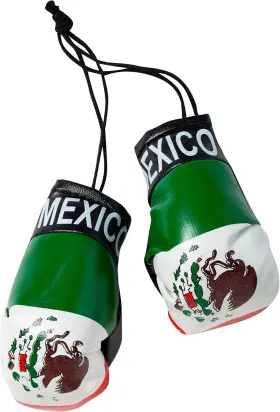 Ao5533 Artisan Owl Mexico Mini Boxing Gloves - Vinyl With Small Multicolor