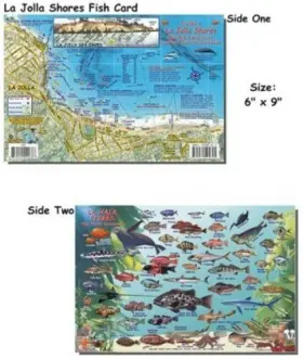 23104 Brand Franko Maps Fba La Jolla Shores Fish Id For Scuba Divers And Snorkelers