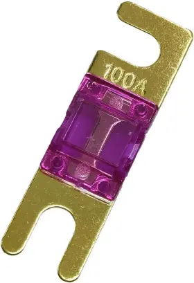 Chenghongxing 631851844644 Pack Of 5 Pcs Mini Anl Fuse 100 Amp Car Audio 100a Gold Plated