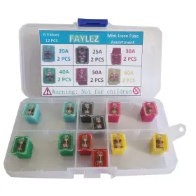 12-fuse Faylez Kit Mini Fuse Assortment Low Profile 20a 25a 30a 40a 50a 60a For Autom