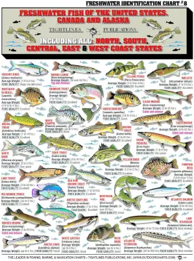 Freshwaterfish8 Hsklock Fishermans Freshwater Fish Chart #8