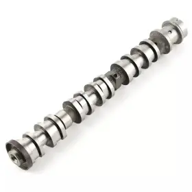 Ahm-10035872 Ingkan Right Side Intake Camshaft Fits For Pacifica Voyager Dodge Durango Jeep Gladi