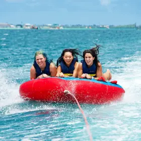 T731 Swonder Towable Tubes For Boating 65 And 75 Boat 3 Person Blue/rose #3
