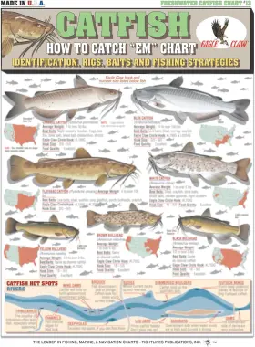 129315 Tightlines Publications How To Catch Ftem Catfish Identification #13 8.5 Inch X 11 Multicolor