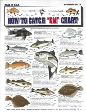 Tightlines Publications 738875000046 How To Catch Ftem Saltwater Fish Identification #2 - Waterproof Quick White