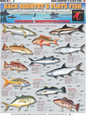 Bc-10 Tightlines Publications Backcountry And Flats Fish Identification Chart #10 8.5 Inch X 11 Multicolor