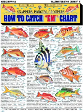 Saltwaterfish6 Tightlines How To Catchftem Saltwater Fish Identification #6 Snappers Porgies &