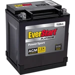 Everstart Platinum Boxed Agm Powersport Battery, Group Size TX30LA 12VOLT, 385 C. Fixed Price $102.99.
