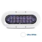 Oceanled 012308W X-series X16 White Leds. Fixed Price $493.00.