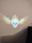 Wireless Door Light Logo Skull With Flamed Wings Nib Fits Every Vehicl. Fixed Price $9.99.