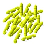 Scotty #1008-24-YL Stoppers For Line Releases Auto Yellow. Fixed Price $21.29.