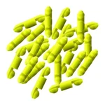 Scotty #1008-24-YL Stoppers For Line Releases Auto Yellow. Fixed Price $21.19.
