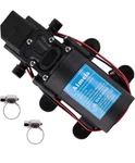 Aimela 12V Dc Fresh Water Pump With Hose Clamps,self Priming Sprayer. Fixed Price $69.00.