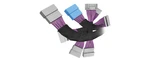 Fortin Evo T-harness (thar / Thar-one). Fixed Price $133.85.
