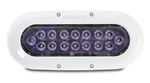 Oceanled X16 X-series Ultra White. Fixed Price $519.99.